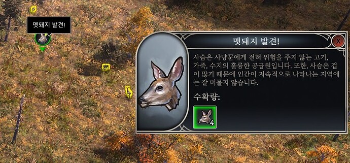 boar found