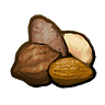 ICN_Resource_Nuts01_96