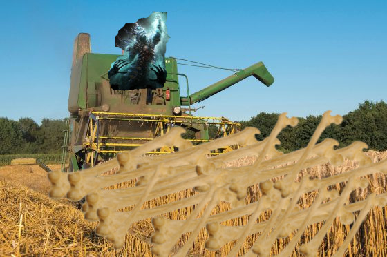 budget%20bone%20harvester