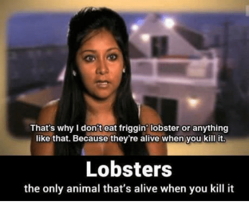 thats-why-i-dont-eat-friggin-lobster-or-anything-like-13418410